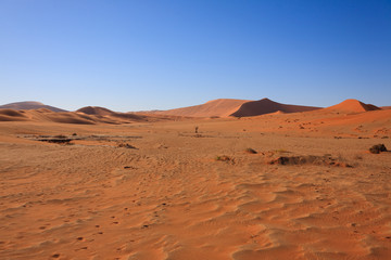 Desert panorama