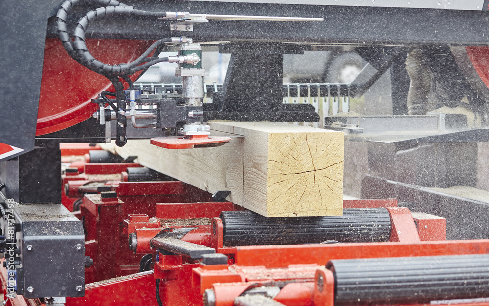 Wall mural sawing boards from logs