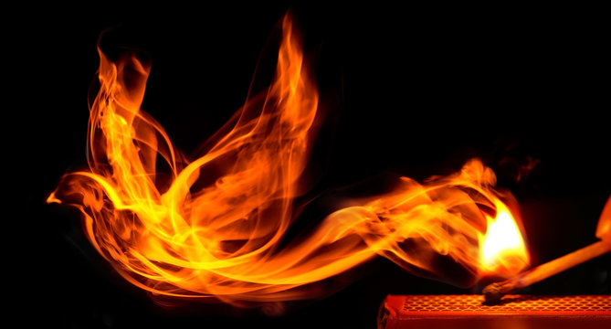 Bird made of fire comes from a burning matchstick