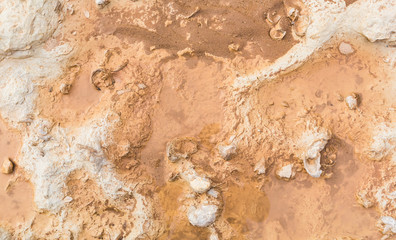 Obraz premium background the texture of wet stone