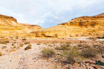 landscape in the desert