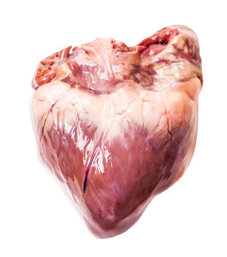 raw pig heart close-up