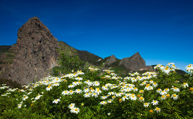 Inland La Gomera