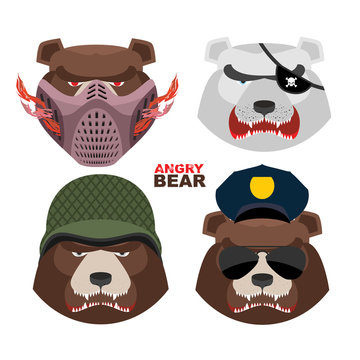 Bears set. A masked bear, polar bear, grizzly bear PIRATE in an
