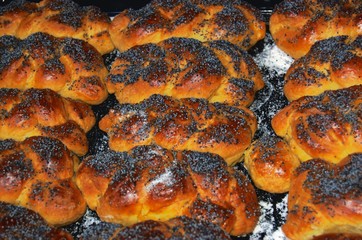Homemade buns sprinkled with poppy seeds