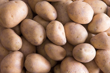 Farm fresh golden potatoes