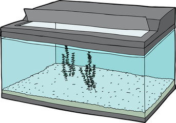 Open Tank with Aquatic Plants