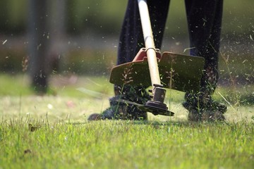 The gardener cutting grass by lawn mower - obrazy, fototapety, plakaty