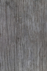 Naklejka premium The old wood texture with natural patterns background