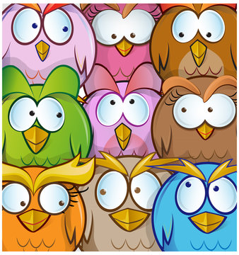 funny owl cartoon background