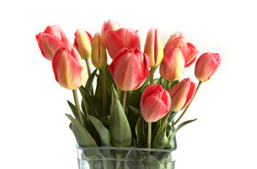 Spring flower  tulips bouquet