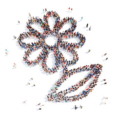 people in the shape of a flower, and ecology.