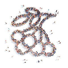 people in the form of plant ecology.