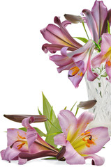 bouquet voilet lily in vase