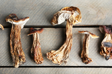 Dried mushrooms on wooden background