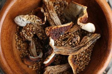 Dried mushrooms in bowl, closeup