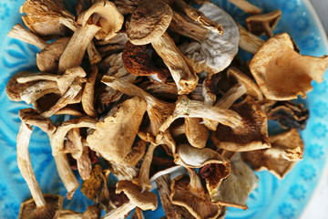Dried mushrooms in plate, closeup