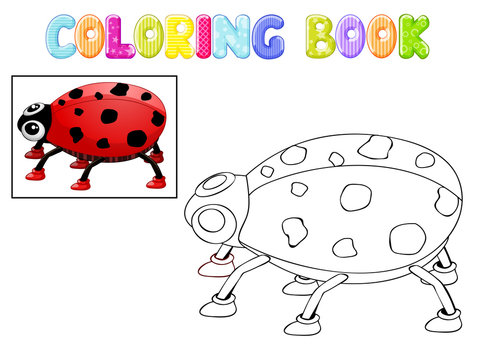 Coloring ladybug