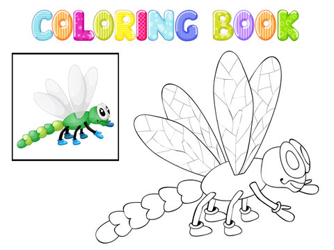Coloring dragonfly