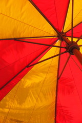 Giant red and yellow umbrella against a palm leaf