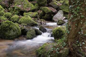 Wasserfall Schwarzwald