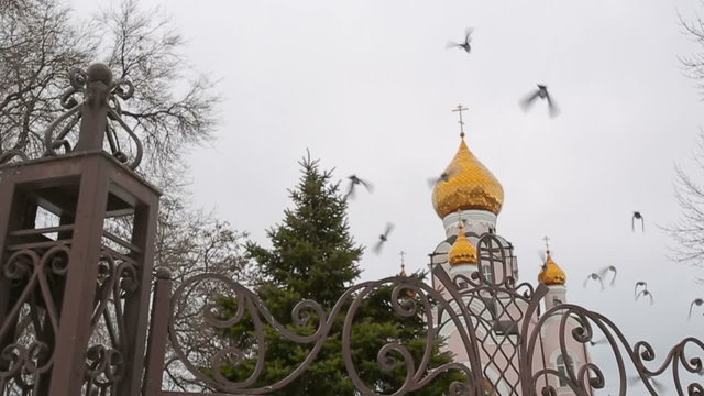 Birds Flying Near the Church