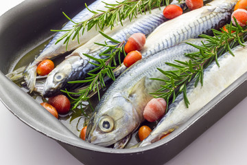 Mackerel baked with tomatoes