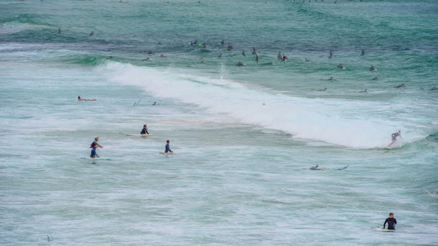 swimmers enjoying the surf at bondi beach on a hot summer day