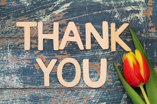 Thank you written with wooden letters with red and yellow tulip