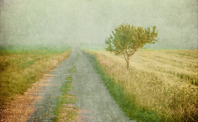 grunge image of a tree over grunge background