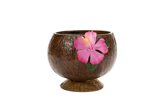 Coconut Cup