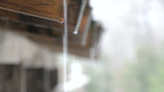 Water drops falling from roof