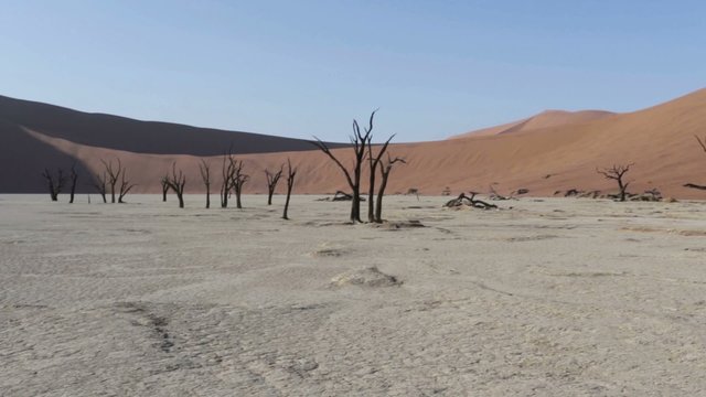beautiful sunrise landscape of hidden Dead Vlei in Namib desert