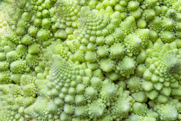 Romanesco Broccoli