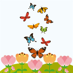beautiful butterflies