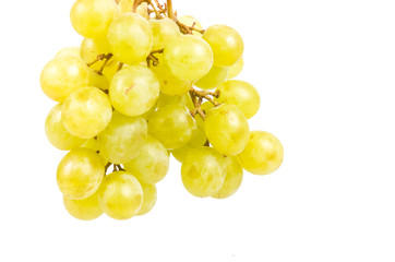 grape