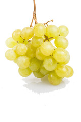grape