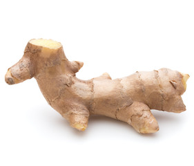 Fresh ginger root or rhizome isolated on white background cutout
