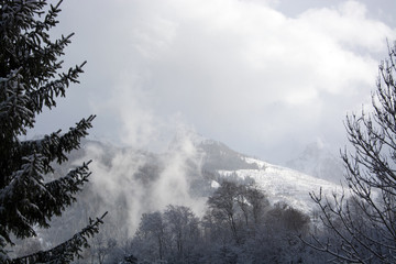 Morgennebel im Pinzgau, Österreich