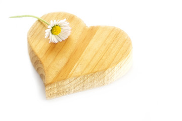 small  daisy lying on a rough wooden heart shape, isolatet