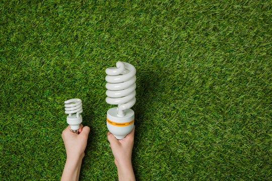 Hands with big and small energy saving lamps over grass