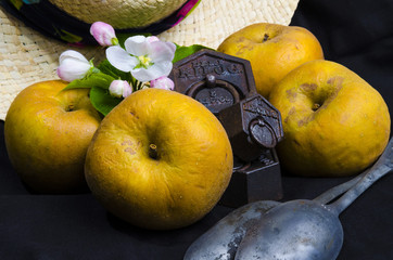 pommes reinette présentation nature morte