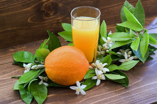 Orange juice and flowering branch.