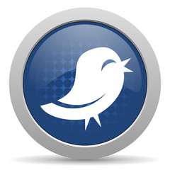bird blue glossy web icon