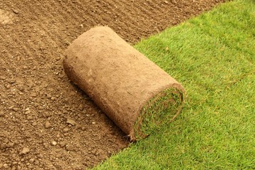 rollrasen verlegt III