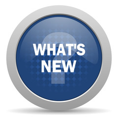 new blue glossy web icon