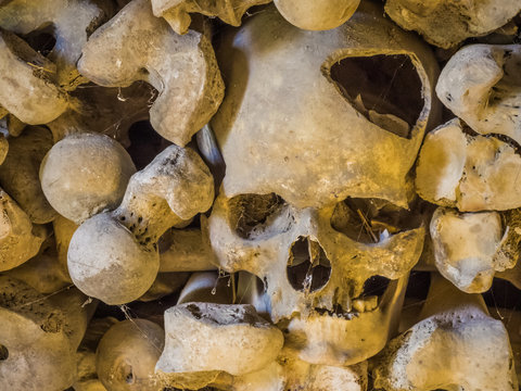 calavera