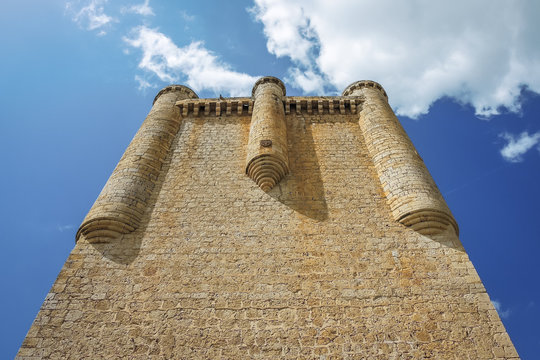 castillo de torrelobaton