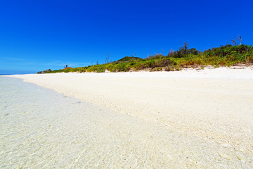 野甫島の美しい珊瑚の海と夏空