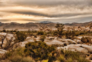 Desert Valley